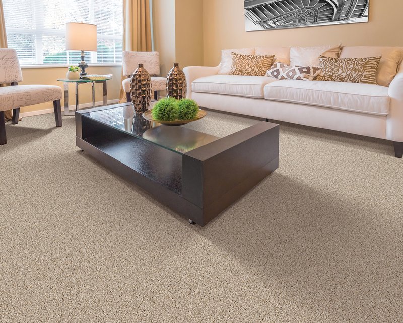 How to deep clean carpet