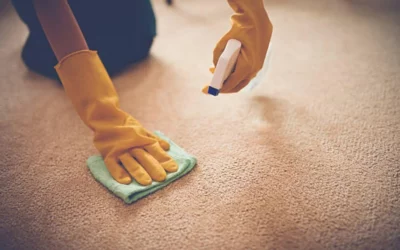 How to clean carpet stains