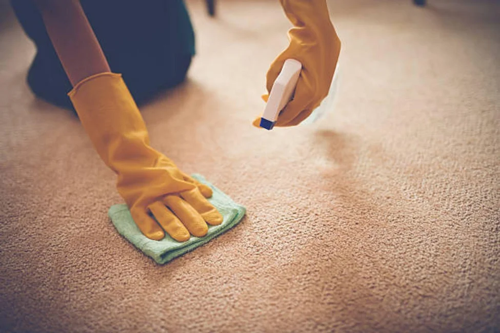 How to clean carpet stains