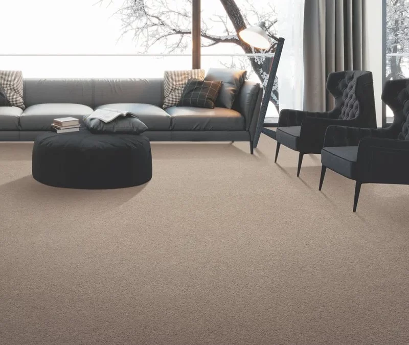 Karastan smartstrand carpet new styles