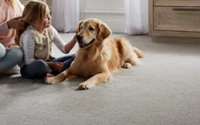 Guide to the Best Soft Carpet